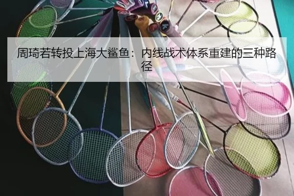 周琦若转投上海大鲨鱼：内线战术体系重建的三种路径